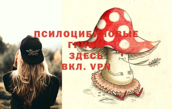 амф Костерёво