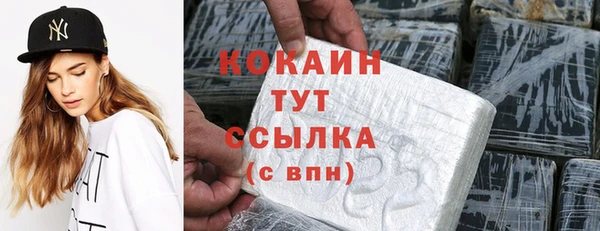 амф Костерёво