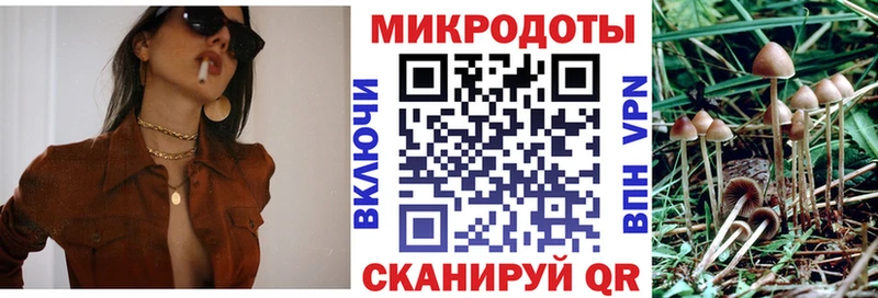 Купить где  Биробиджан  Галлюциногенные грибы Cubensis 